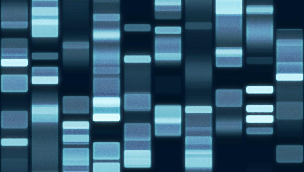 dna sequence