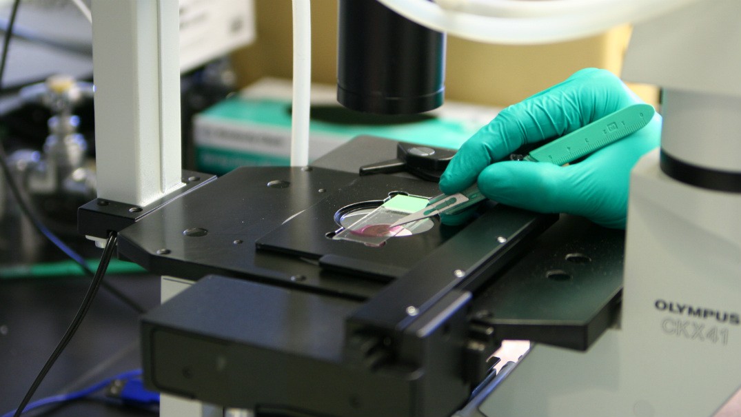 Precision Genomics Laboratory Established at CUMC