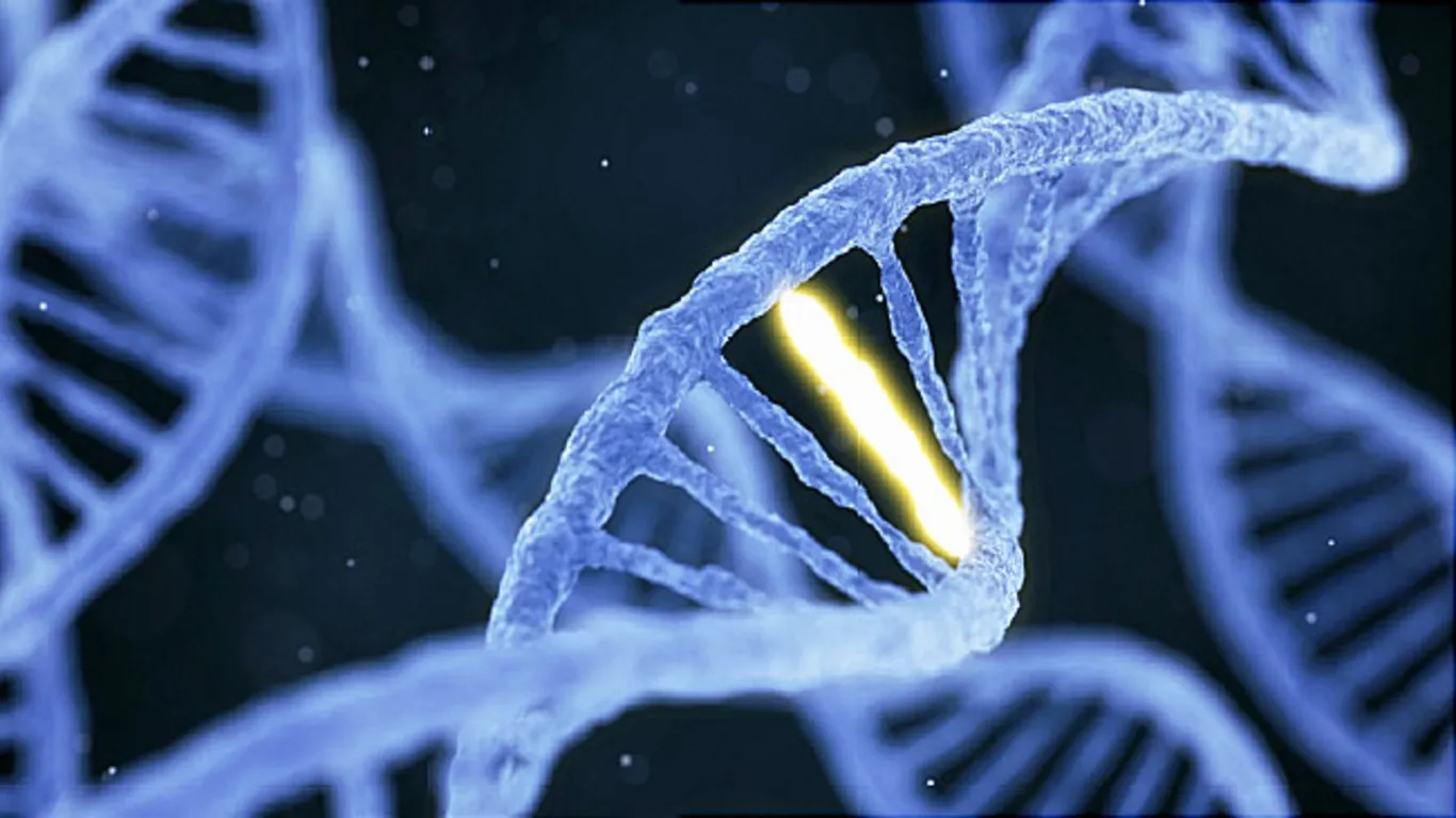 Using Precision Medicine to Cure a Toddler’s Mysterious Ailment